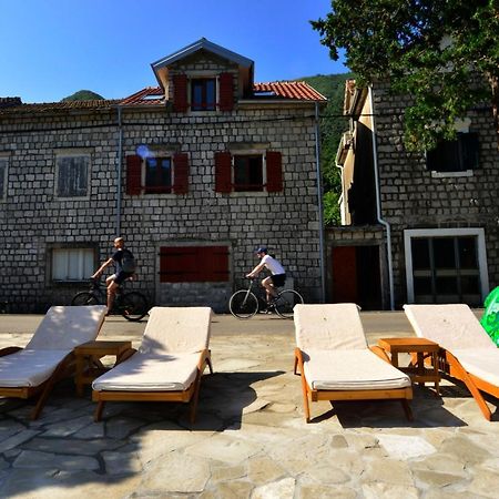 A Hundred Olive Trees Apartments Kotor Eksteriør billede