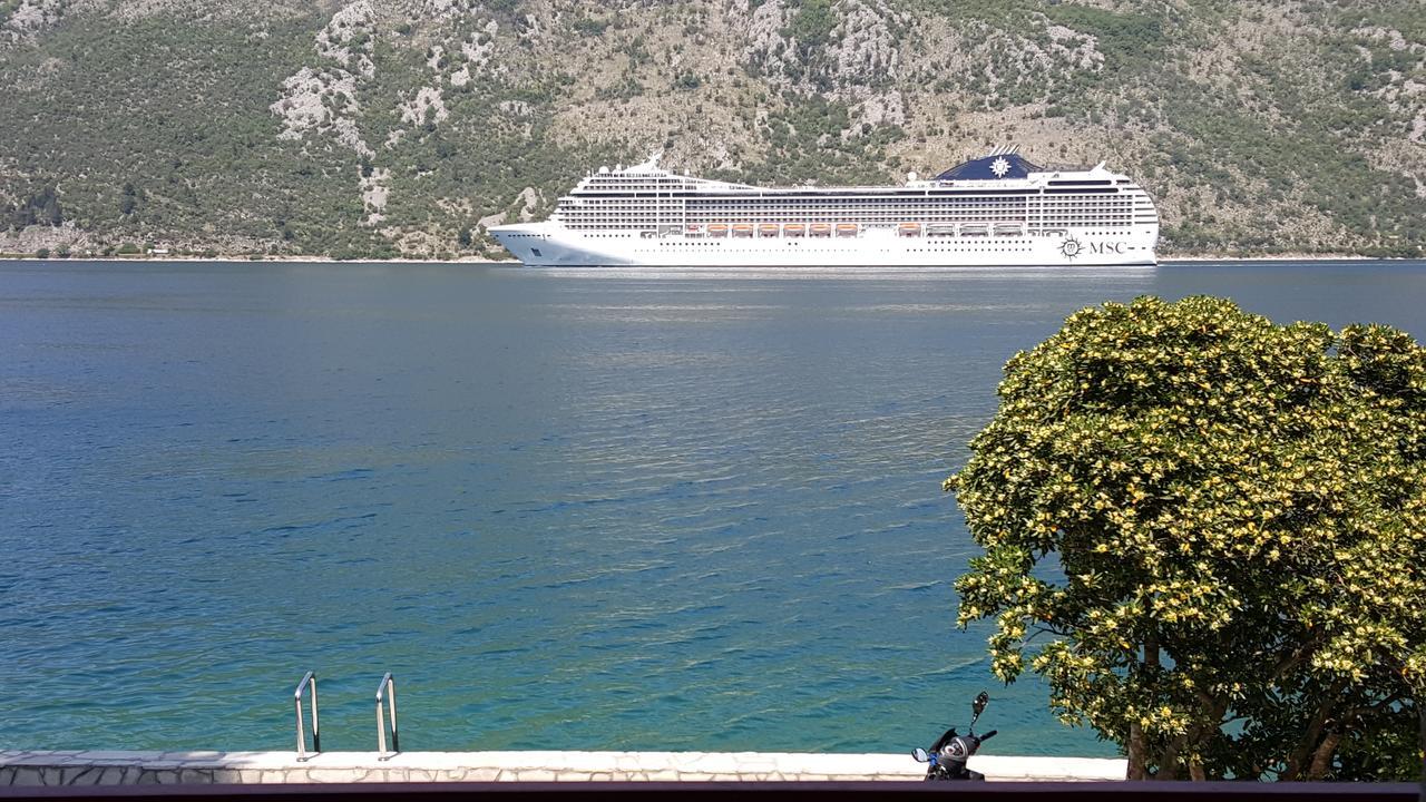 A Hundred Olive Trees Apartments Kotor Eksteriør billede
