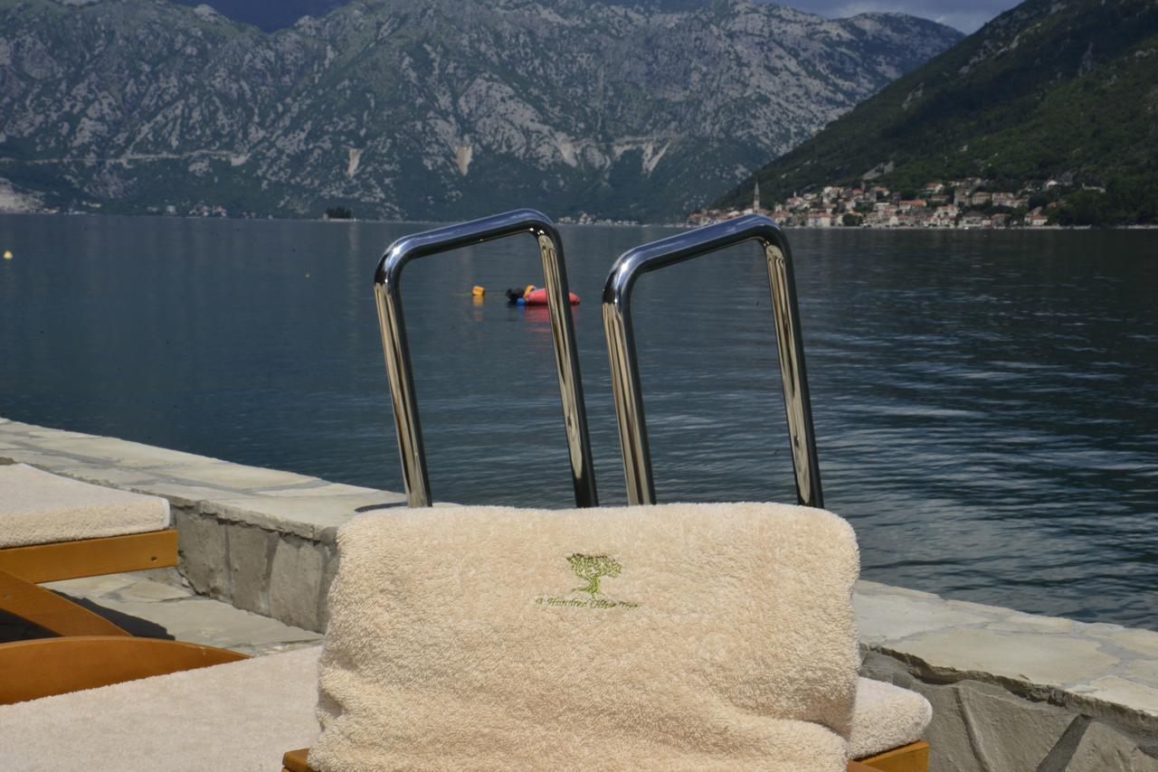 A Hundred Olive Trees Apartments Kotor Eksteriør billede