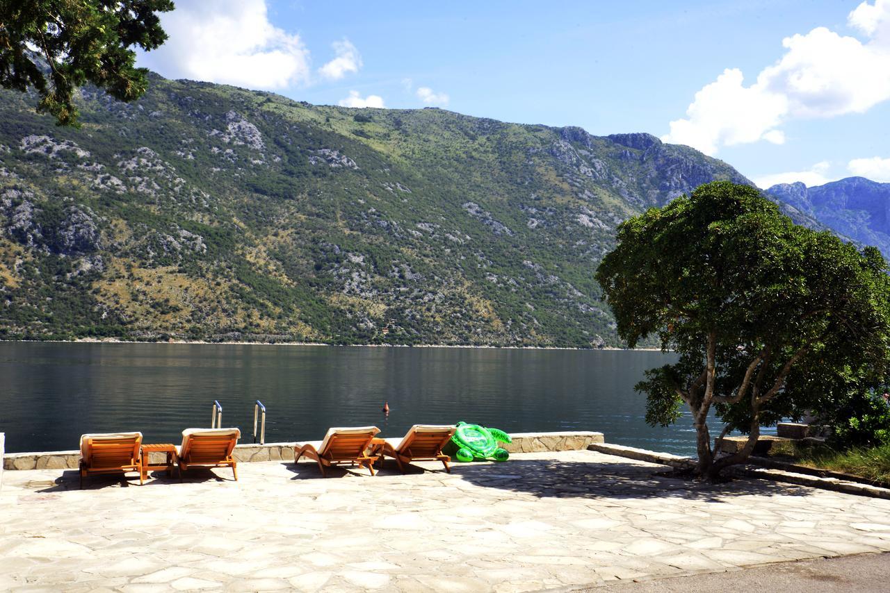 A Hundred Olive Trees Apartments Kotor Eksteriør billede