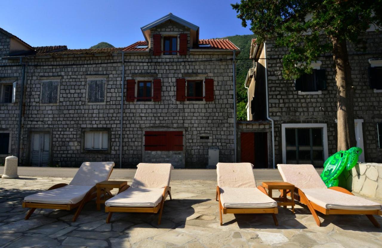 A Hundred Olive Trees Apartments Kotor Eksteriør billede